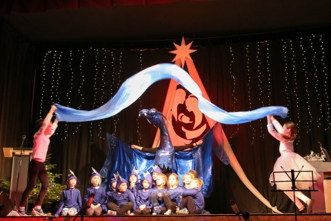 img_7445_176.jpg